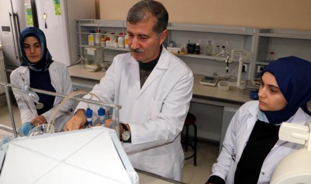 Prof. Dr. Gülçin: Zencefilde bulunan 'kurkumin' çok güçlü bir doğal antioksidan