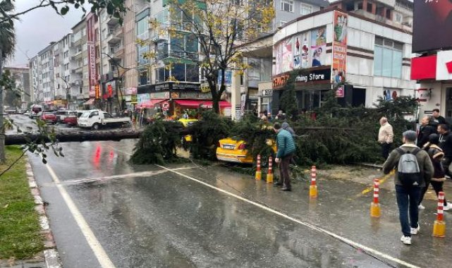 Rize'de fırtına; sac uçtu, ağaç taksinin üzerine devrildi