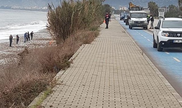 Sahilde gömülü insan iskeleti bulundu