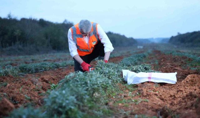 Sakarya'da tarımsal kalkınma hamlesi emekçiye nefes aldırdı