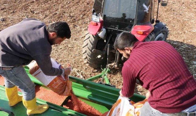 Şanlıurfa Büyükşehir Belediyesi buğday ekimine başladı