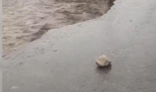 Şırnak'ta yağış nedeniyle yol çöktü