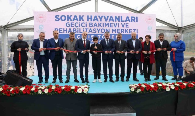 Sokak hayvanlarına geçici bakımevi hizmete açıldı