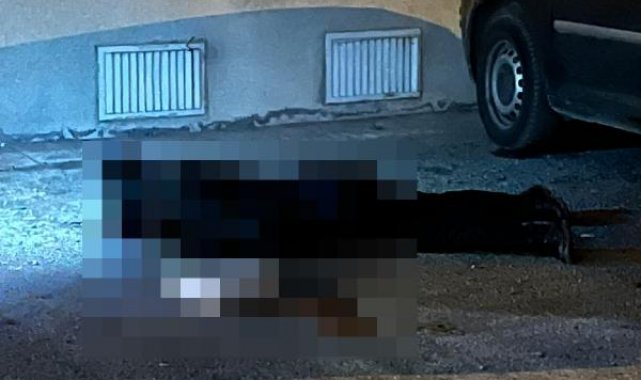 Sokakta yürürken öldürülen Zeynep'in cinayet şüphelisi eski eşi çıktı