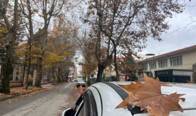 Sokaktaki sonbahar manzarası mest etti