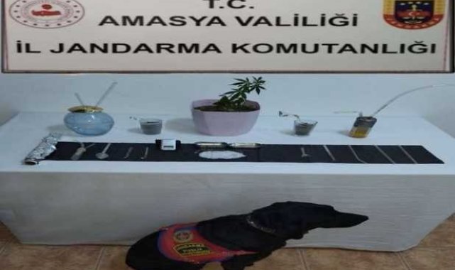 Suluova'da uyuşturucu operasyonu: 1 gözaltı