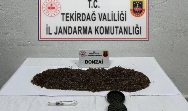 Tekirdağ'da 2 kişi uyuşturucudan yakalandı