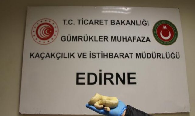 Ticaret Bakanlığı: 33 piton, yolcu treninde ele geçirildi