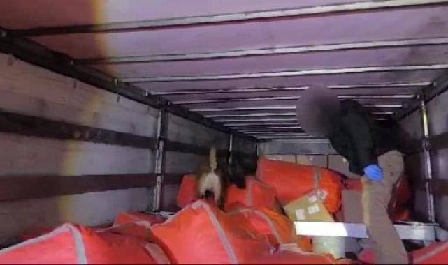 TIR'da bulunan 171 kilo uyuşturucuya 2 tutuklama