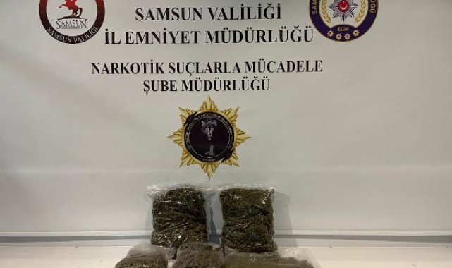 TIR'daki 3 kilo 950 gram uyuşturucuyu Tony buldu