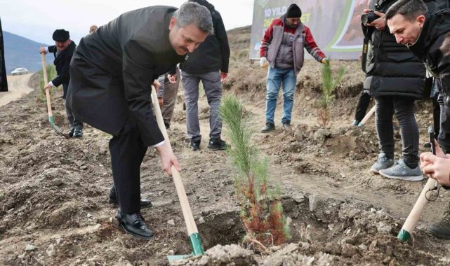 Tokat Belediyesi 10 yılda 260 bin fidanı toprakla buluşturdu