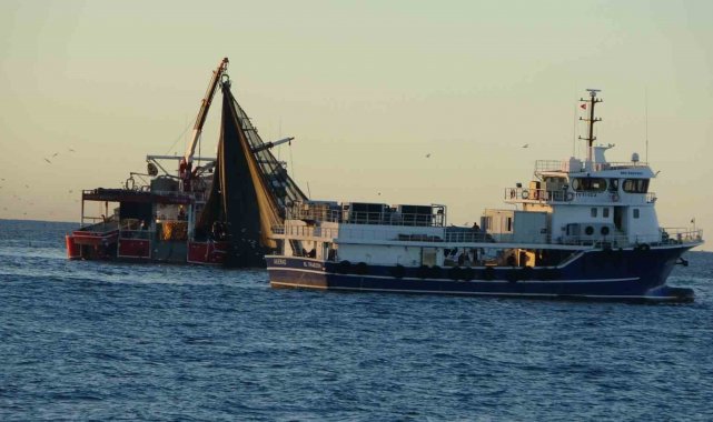 Trabzon'dan 1 Ocak'ta Gürcistan'a hamsi avına gidecekler