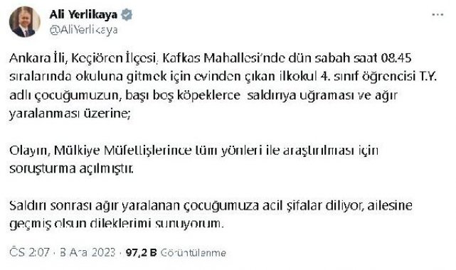 Tunahan'ın, sokak köpeklerinin saldırısında yaralanmasına ilişkin soruşturma açıldı