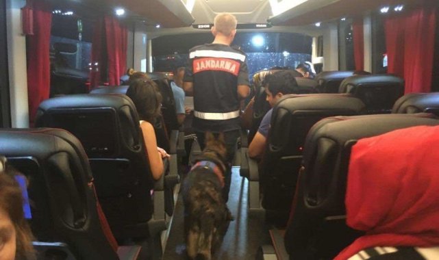 Uyuşturucu ile seyahate narkotik köpeği engeli