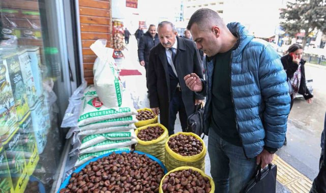 Van'da 'Çin kestanesi' denetimi