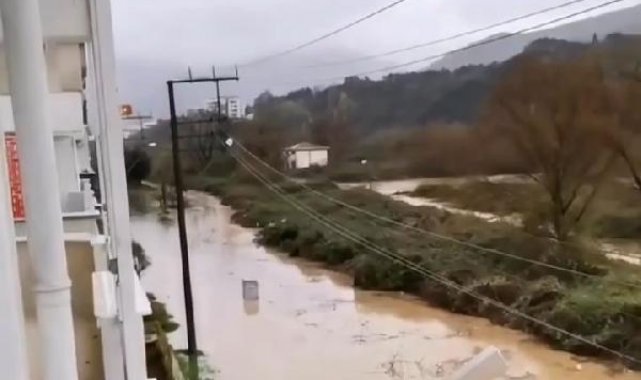 Yalova'da sağanak; dere taştı, mahsur kalan 4 yavru köpek kurtarıldı