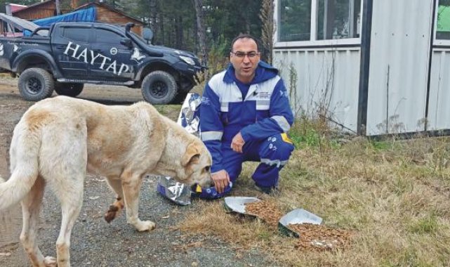 Yaz bitince terk edilen, yaylalardaki hayvanlara yiyecek bırakıldı