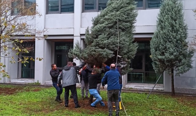 ZBEÜ'de Fırtınada Zarar Gören 68 Ağaca Destek Yapıldı