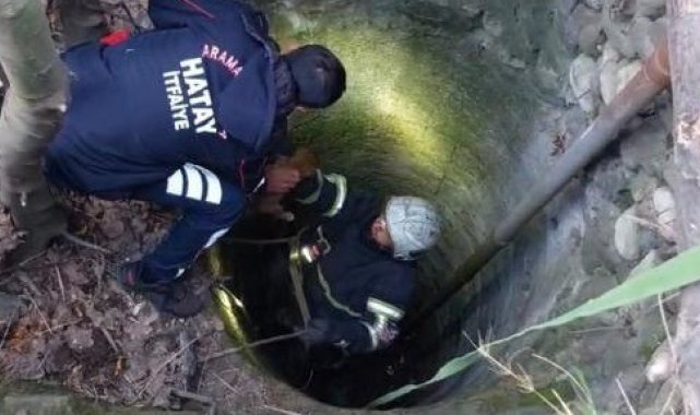 Arsuz'da kuyuya düşen yavru köpeği itfaiye kurtardı