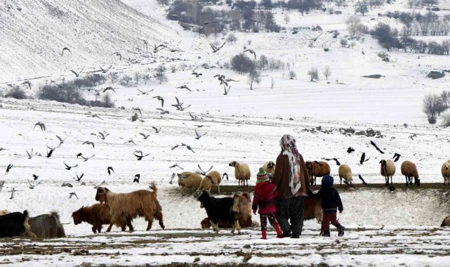 Erzincan'da "Köyümde Yaşamak İçin Bir Sürü Nedenim Var" projesi ile 179 üretici hayvan varlığını artırdı