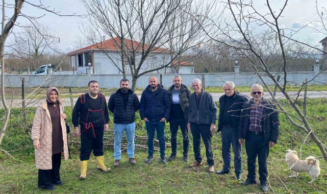 Fındık üreticilerine 'doğru budama eğitimi'