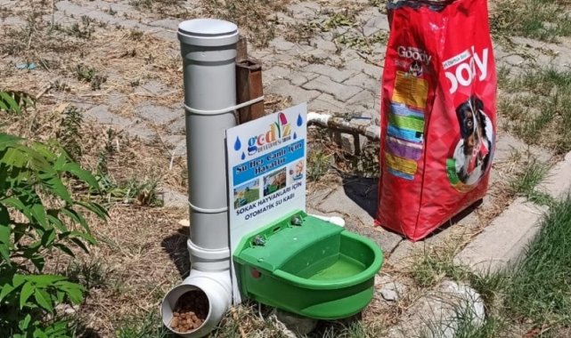 Gediz'de sokak hayvanları unutulmadı