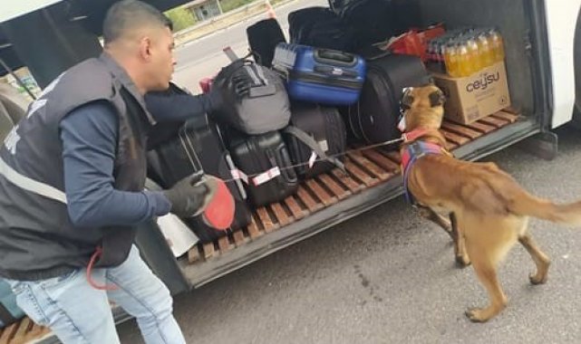 Jandarma 2023 yılında farklı suçlardan 2 bin 836 şüpheli şahsa işlem yaptı