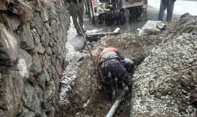 Kar yağışı altında hummalı çalıma