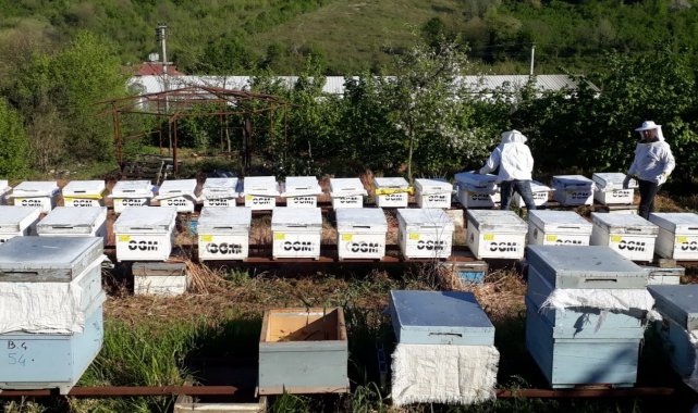 Süt ve bal üreticiliği için 1 milyon 444 bin lira destek