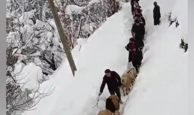 Vatandaşlar sürü ile birlikte kuzuları kucaklarında taşıdılar