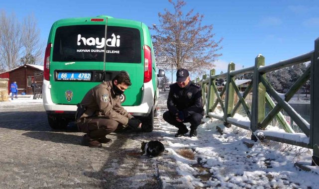 Yozgat'ta polis ekipleri sokak hayvanlarını unutmadı