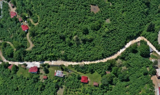 Altınordu'da sıcak asfalt ve beton yol çalışmaları sürüyor