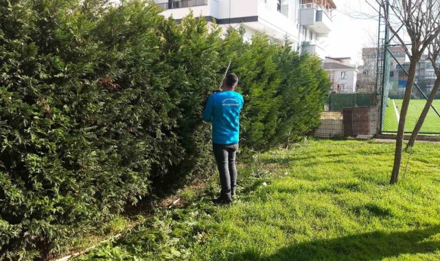 Başiskele'de bahar hazırlıkları erken başladı