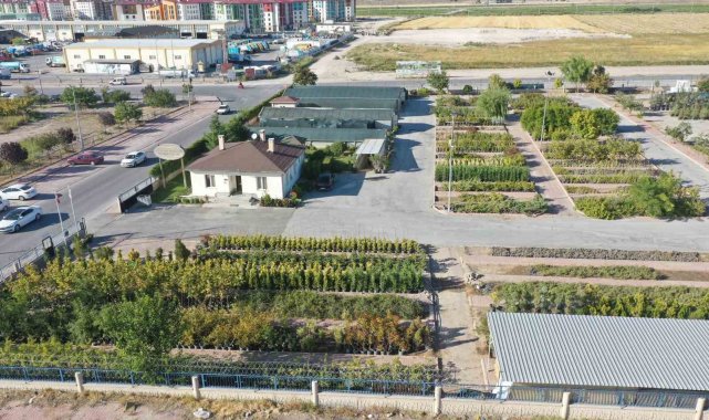 Başkan Çolakbayrakdar: "Kişi başına düşen 18 metrekare yeşil alan ile rekoru yenileyeceğiz"