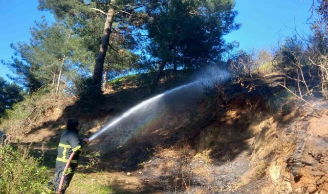 Belen'de ormanlık alanda çıkan yangın söndürüldü