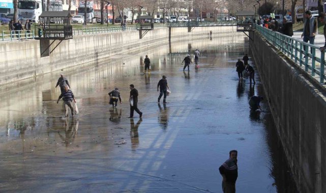 Beyşehir Gölü'nden kanala dökülen balıkları toplamak için birbirleriyle yarıştılar