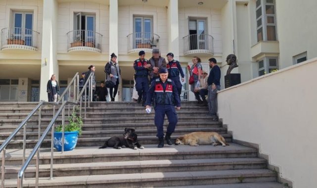 Bodrum'da 12 hayvanı zehirlediği iddia edilen şahıs yakalandı