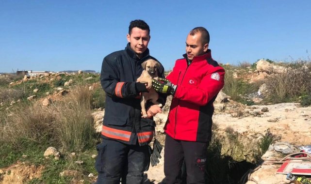 Definecilerin kazdığı kuyuya düşen köpek itfaiye ekiplerince kurtarıldı