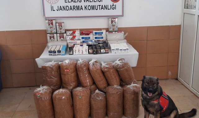 Elazığ'da 150 kilo kaçak tütün ele geçirildi