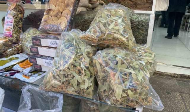 Ihlamurun kilosu 600 TL