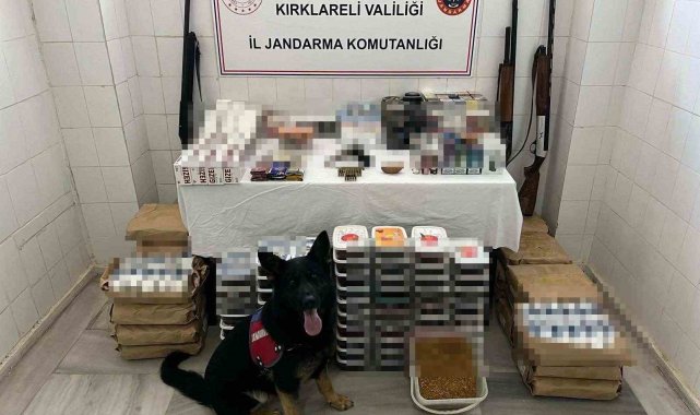 Kırklareli'nde kaçakçılık operasyonu: Tarihi obje ve ruhsatsız silahlar ele geçirildi