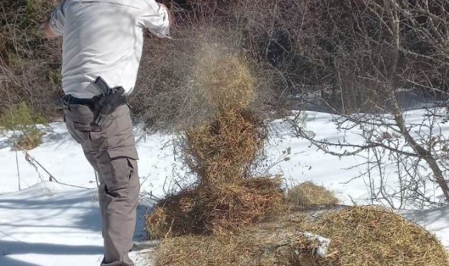 Kütahya DKMP'den yaban hayvanlarını yemleme çalışması