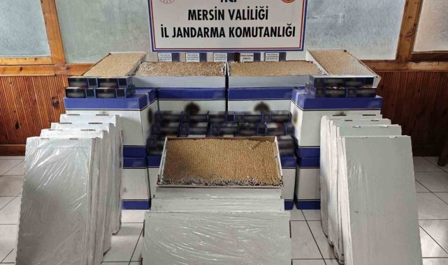 Mersin'de 500 bin adet makaron ele geçirildi