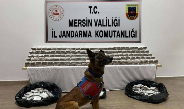 Mersin'de 61 bin 700 adet kaçak makaron ele geçirildi