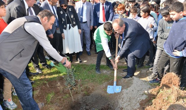 Mersin'de okul bahçelerine 600 zeytin fidanı dikildi