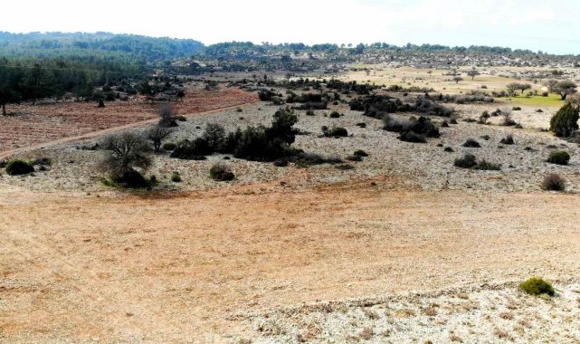 Muğla'nın yüksek kesimleri, bu yıl kar yüzü görmedi