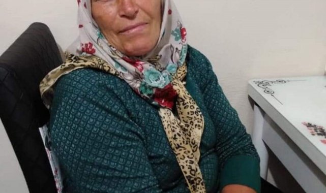 Ordu'da öküzün boynuz darbesi ile yaralanan kadın hayatını kaybetti