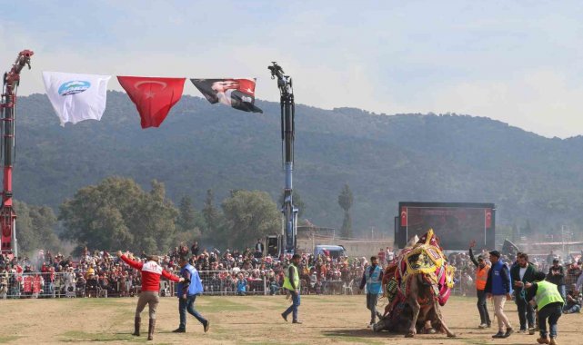 Pehlivan develer Bağarası'nda güreşti