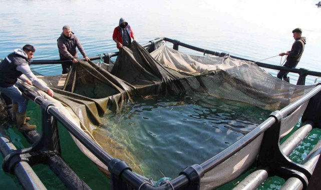 Şanlıurfa'dan ülke ekonomisine 100 milyon dolar destek