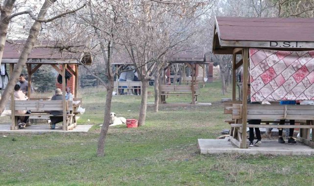 Şubat ortasında ilkbahar gibi piknik keyfi yaptılar